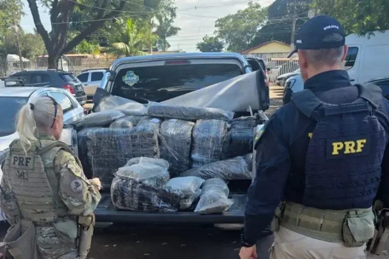 PRF apreende quase meia tonelada de skunk após perseguição; com vídeo