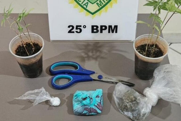 Jovem é detido com porções e muda de maconha em residência no Centro de Pérola