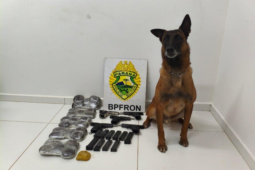 Cão do BPFron localiza R$ 350 mil em drogas e armas durante abordagem a ônibus em Guaíra