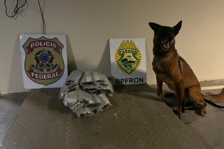 PF e BPFron apreendem 15 kg de haxixe em fundo falso de carro em Guaíra