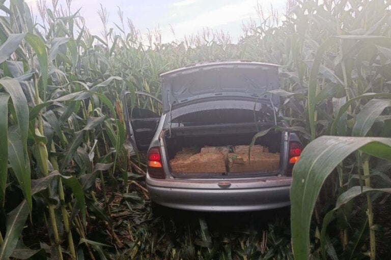 Carro com quase 300 kg de maconha é apreendido na PR-239 em Assis Chateaubriand