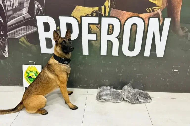 BPFron apreende 4 kg de haxixe e prende jovem em rodoviária de Umuarama
