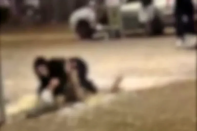 Briga entre mulheres termina em poça de lama; veja o vídeo