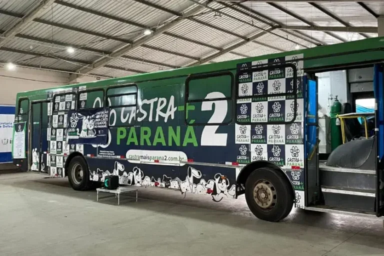 Castração gratuita de cães e gatos terá nova etapa em Umuarama; confira