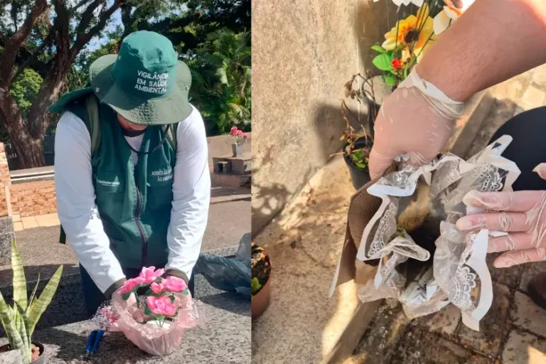Prefeitura intensifica combate à dengue no cemitério antes do Dia das Mães