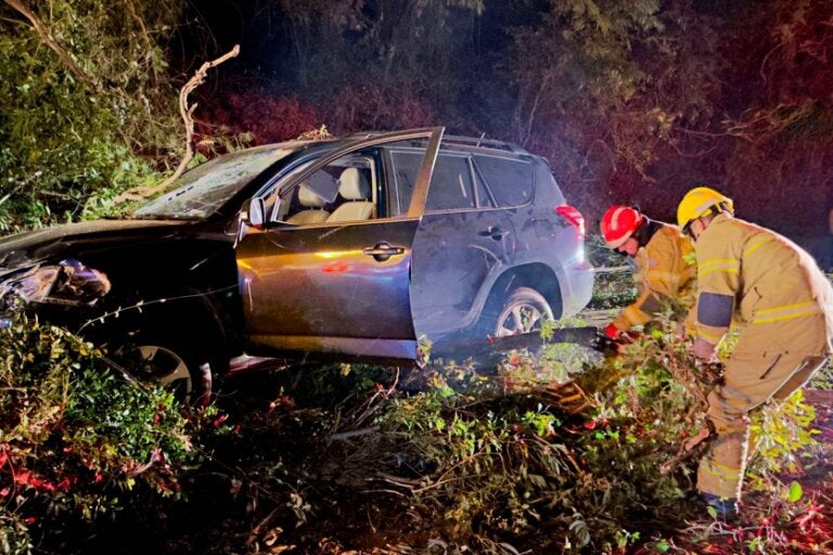 Condutora fica ferida após bater em árvores caídas na PR-323, entre Umuarama e Lovat; com vídeo