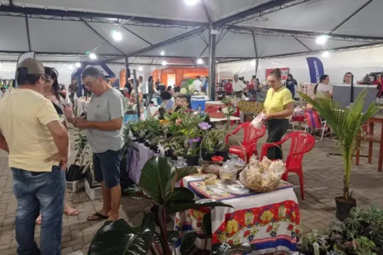 Feira do Empreendedor terá edição especial de Dia das Mães em Goioerê