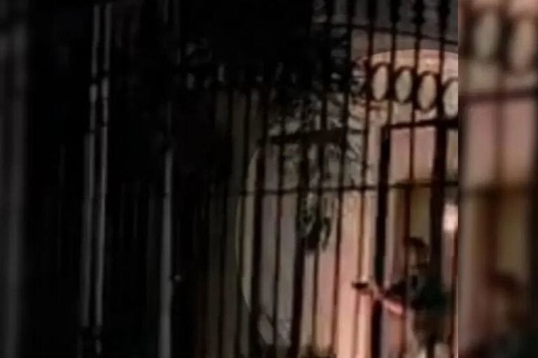 Vídeo mostra acidente que matou motoboy, tiros contra imprensa e prisão de motorista
