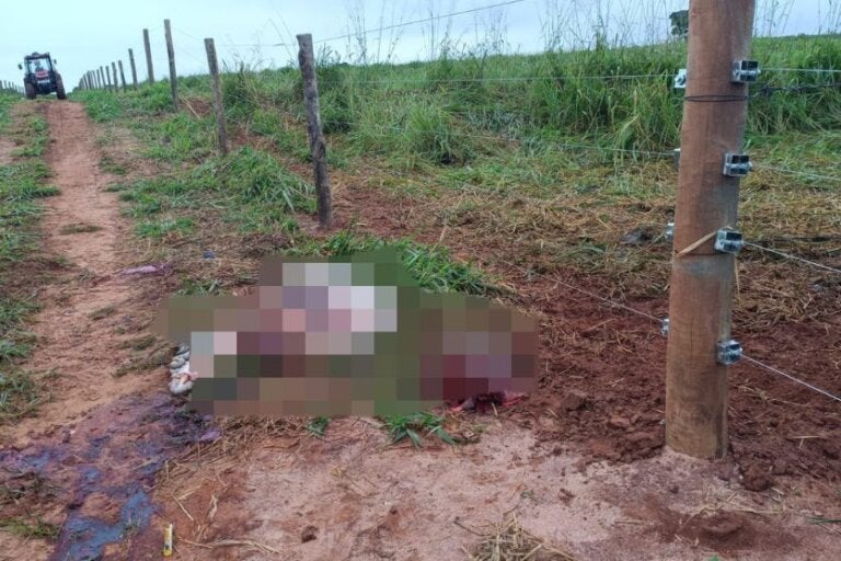 Criminosos abatem boi e levam quase toda a carne em propriedade rural de Maria Helena