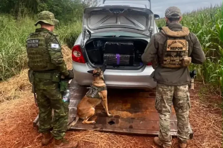 BPFron apreende 300 kg de maconha e causa prejuízo de R$ 643,6 mil ao crime em Guaíra