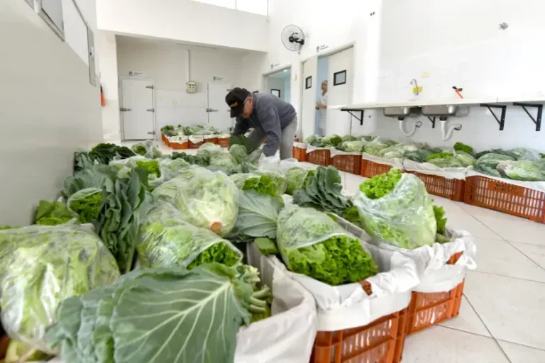 Umuarama terá edição especial do Lixo que Vale com troca de recicláveis por alimentos