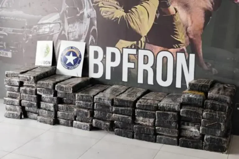 BPFron apreende mais de meia tonelada de maconha e recupera veículo furtado