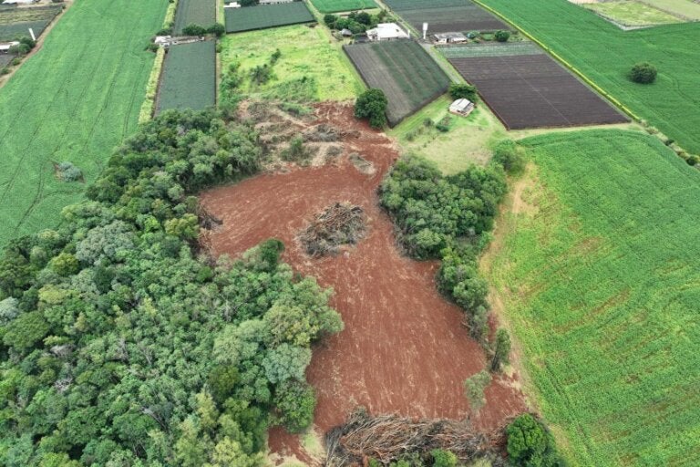 Foto aérea de uma das áreas fiscalizadas pelo IAT e que recebeu uma multa ambiental.