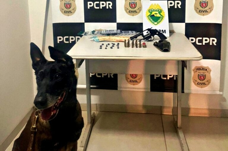 PCPR faz operação de combate ao tráfico em Alto Piquiri e prende um casal