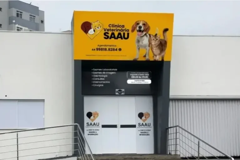Saau promove bazar beneficente com peças a partir de R$ 2 em Umuarama