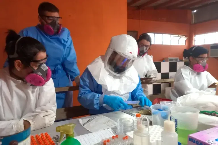 Paraná confirma dois casos de hantavírus e mantém monitoramento