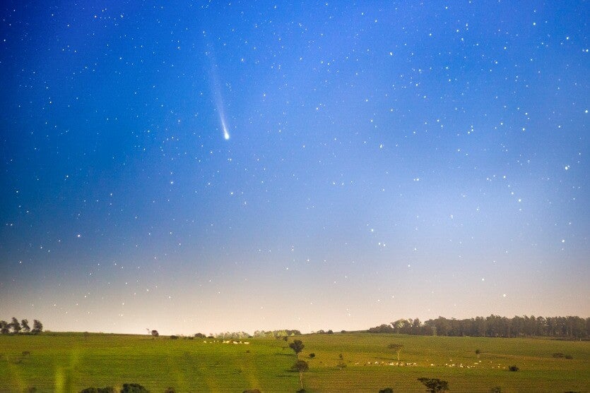 Cometa PanStarrs em sua aparição no céu noturno de Umuarama.