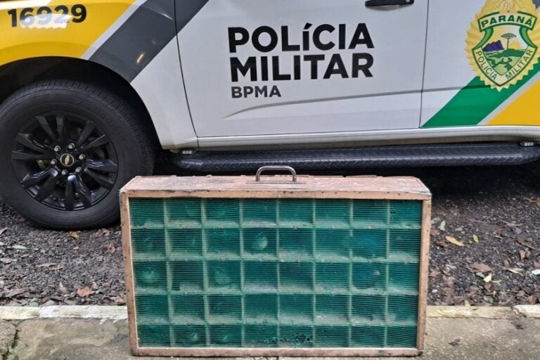 Aves silvestres apreendidas durante abordagem policial em Tijucas do Sul, no Paraná.