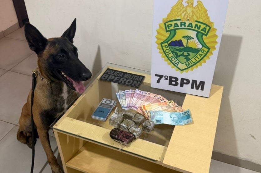 Cão de faro ao lado de drogas e dinheiro apreendido em Goioerê.