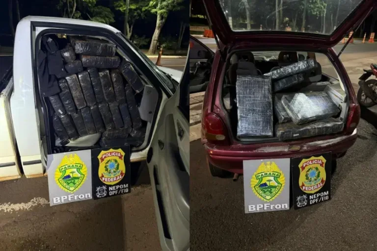 BPFron e PF apreendem mais de 1,1 tonelada de maconha em porto clandestino