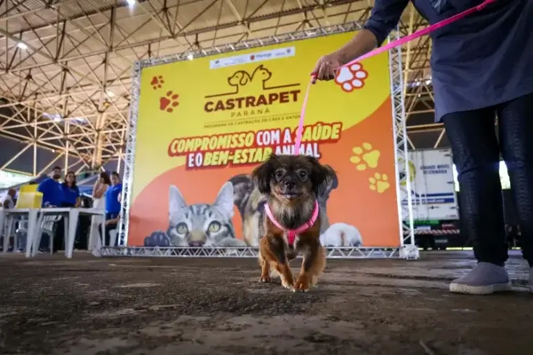 CastraPet chega ao Noroeste e vai atender 11 cidades da região em junho