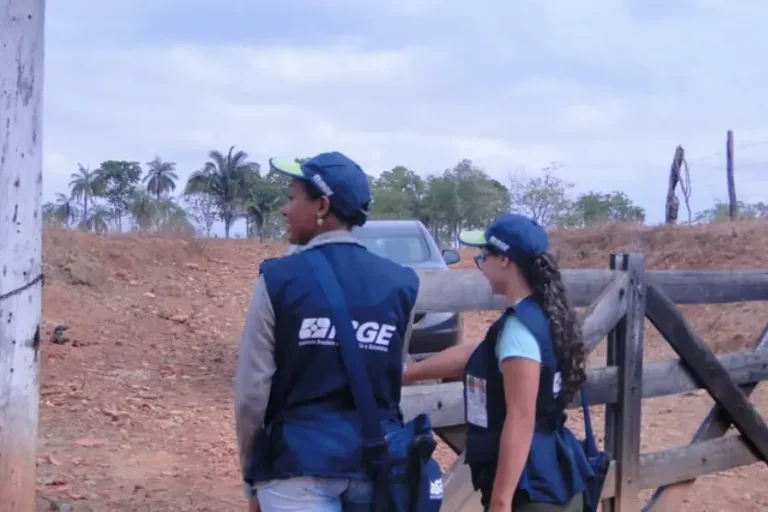Processo seletivo do IBGE abre mais de 8 mil vagas com salários de até R$ 4 mil