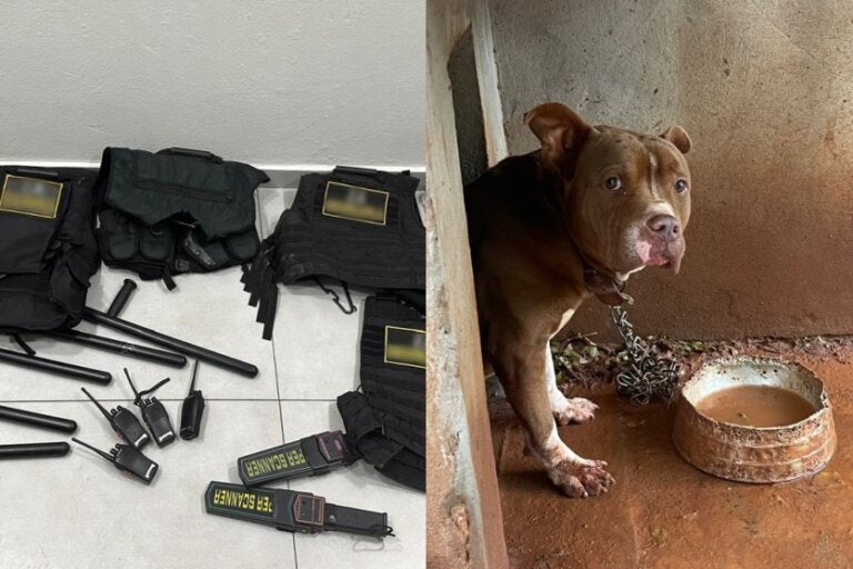 Equipamentos apreendidos e Pitbull resgatado de empresa de segurança clandestina em Tapejara.