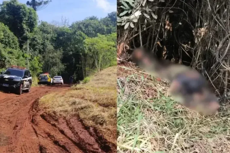 Viatura da PCPR e corpo encontrado carbonizado em Apucarana.