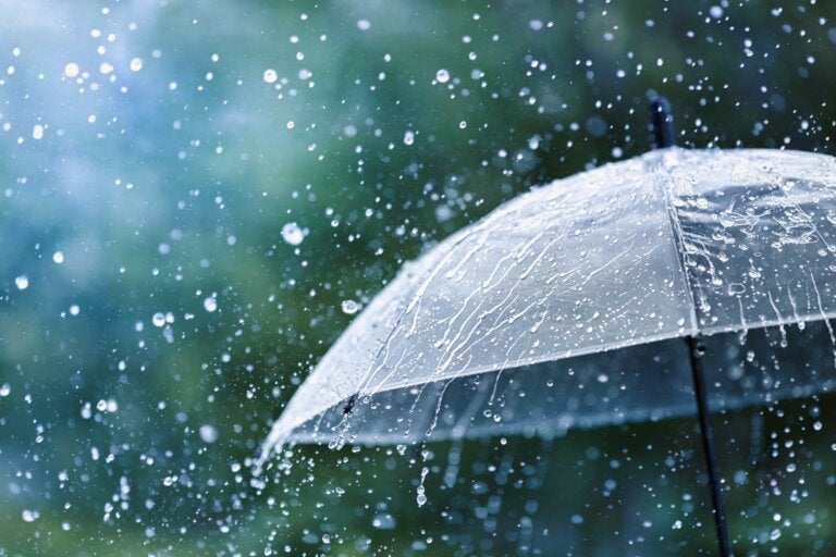 El Niño de alta intensidade deve trazer temporais, granizo e fortes ondas de calor
