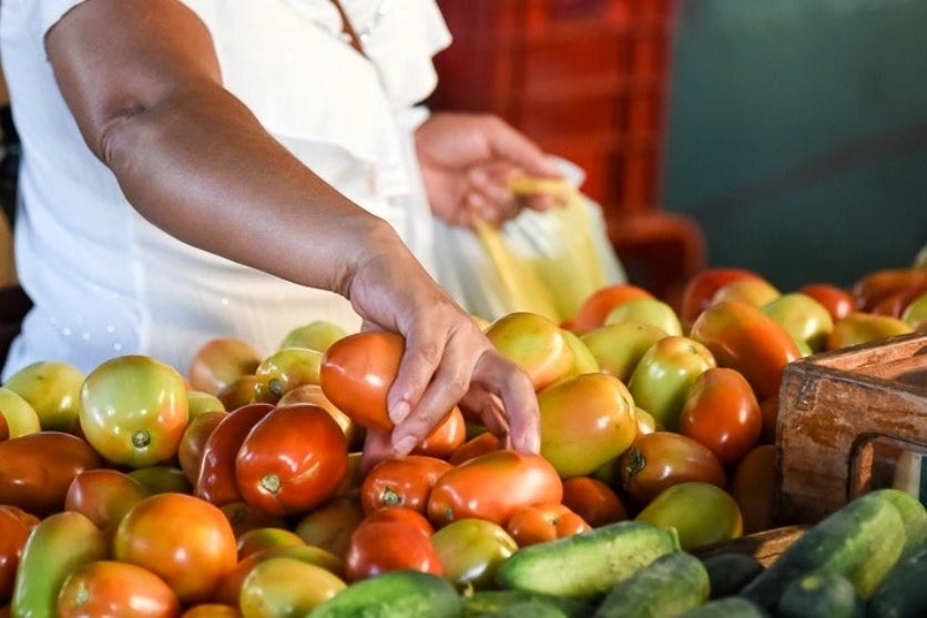 Mulher escolhendo tomates em uma feira.