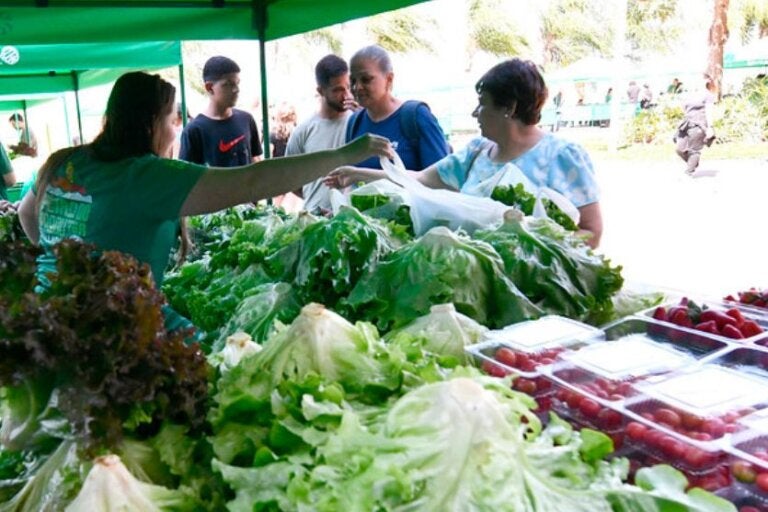 Feira do Produtor passa a funcionar todas as quintas-feiras no Lago Tucuruvi, em Umuarama