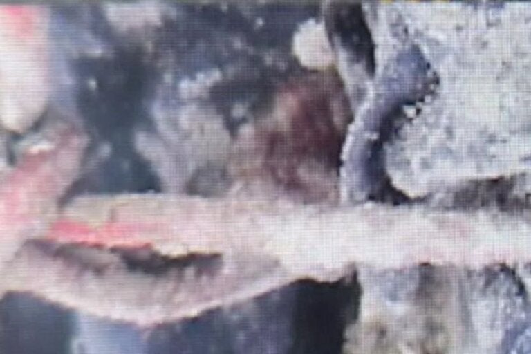 Delegado explica presença de corda encontrada em cova de vítimas da chacina de Icaraíma