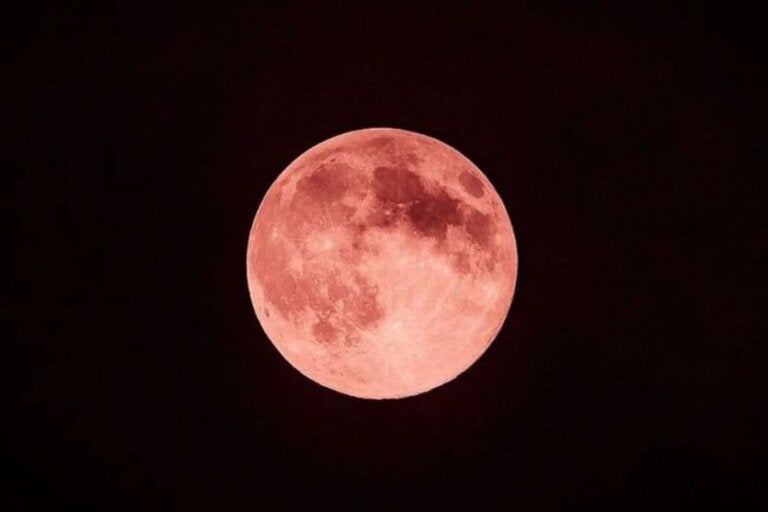 Lua de Morango poderá ser observada nesta segunda-feira; veja o melhor horário
