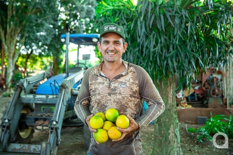 Safra de laranja gera renda no campo e abastece cidades da região de Umuarama