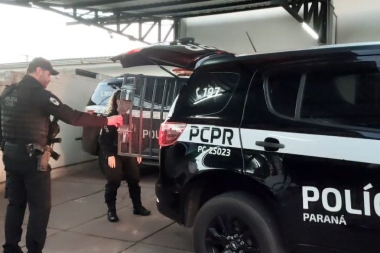 Policiais durante a execução da Operação Éris, em Umuarama.