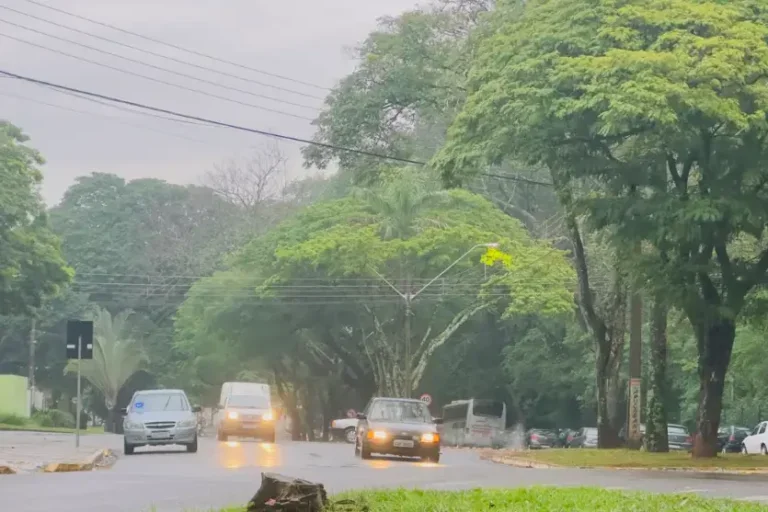 Chuva ganha força em Umuarama, e volume acumulado pode superar 116 mm até sexta