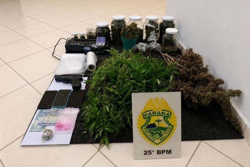 Maconha e pés de maconha apreendidos pela PM em Umuarama.