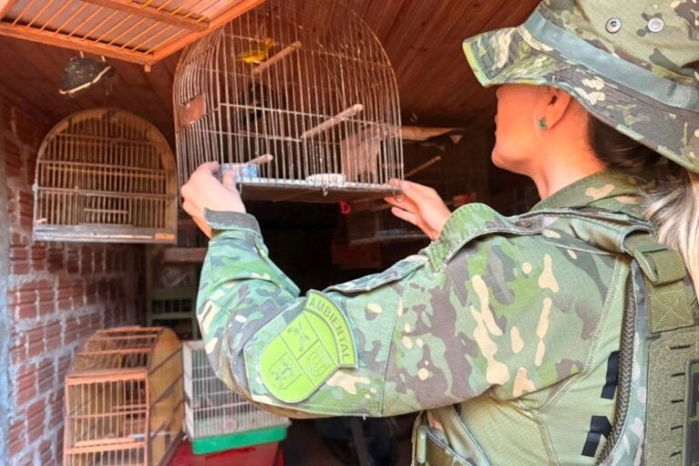 Policial ambiental segurando uma gaiola de pássaro.