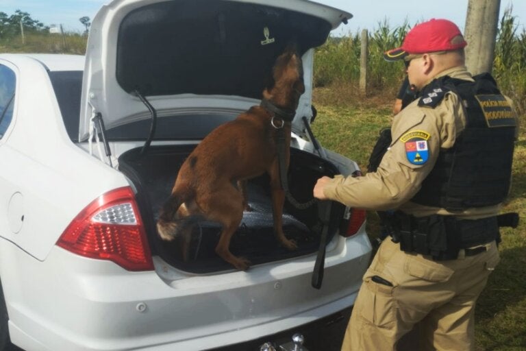 Cão de faro e policial fiscalizando veículo em Iporã.
