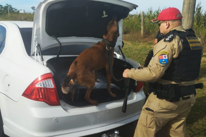Cão de faro e policial fiscalizando veículo em Iporã.