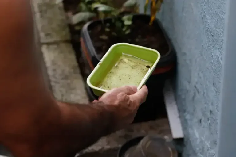 Água parada em uma bandeja de isopor.