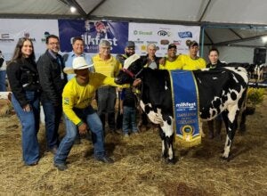 Produtores premiados na Milk Fest.