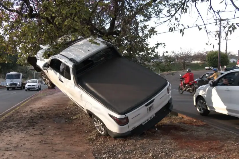 Carro perde o freio e fica pendurado em árvore após motorista evitar tragédia; vídeo