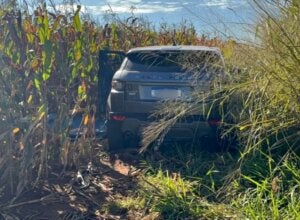 Corpo de homem desaparecido há dois dias é encontrado em área rural no Paraná