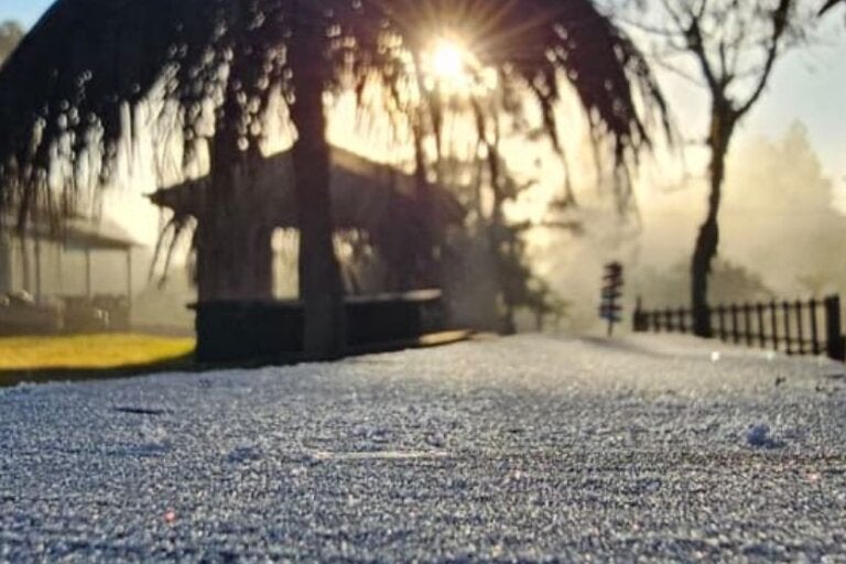 Geada volta a atingir o Paraná após madrugada de temperaturas negativas; confira previsão