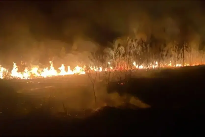Incêndio às margens de rodovia.