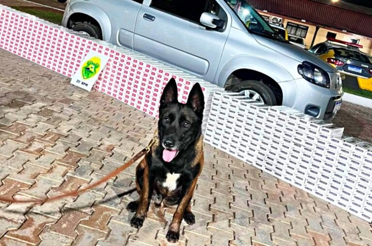 PM de Umuarama prende mulher com carga de cigarros contrabandeados no Parque Industrial