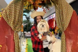 Shopping Palladium e Guarda Mirim realizam festa julina com atrações para toda família