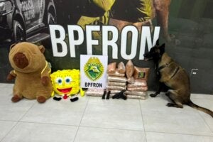 Drogas, pelúcias e arma de fogo apreendidas em Umuarama.
