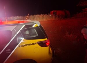 Carro capotado às margens da PR-558.